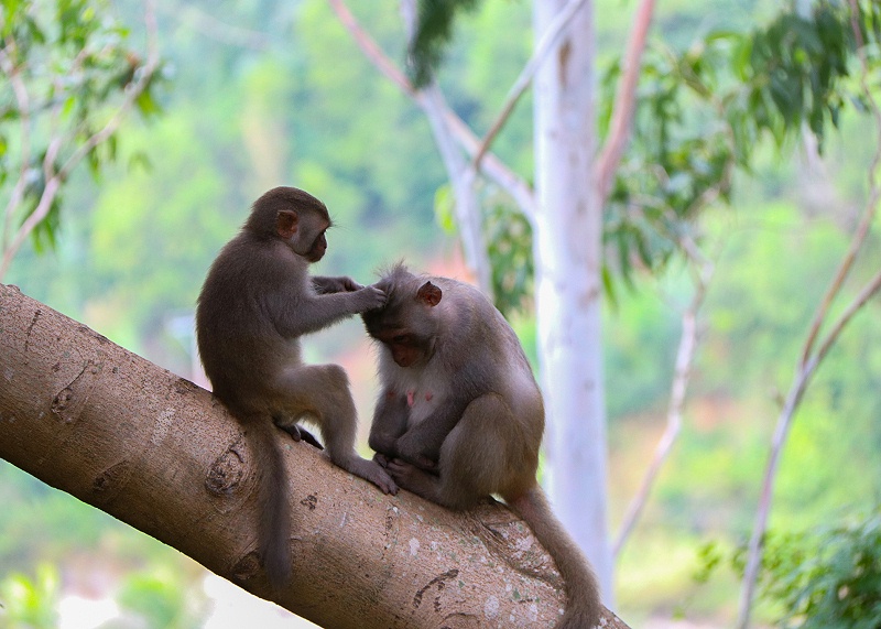香蕉视频污污下载真空香蕉视频色版公司