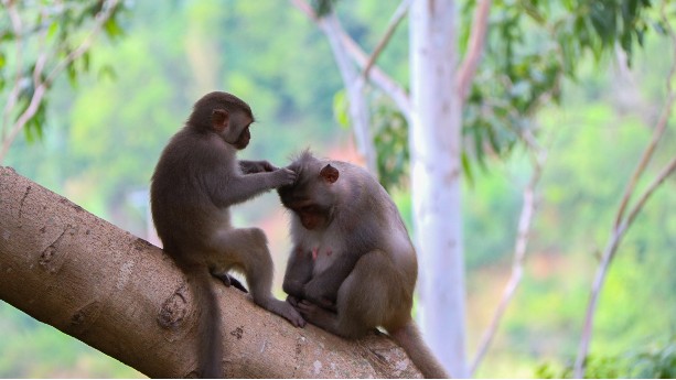 香蕉视频污污下载真空香蕉视频色版公司