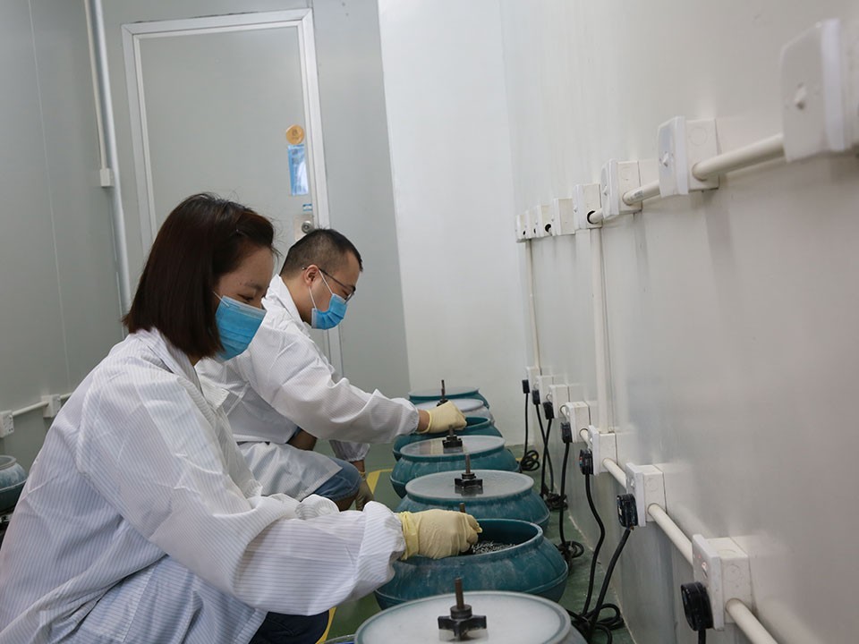 香蕉视频污污下载真空香蕉视频色版厂家-振盘耐磨