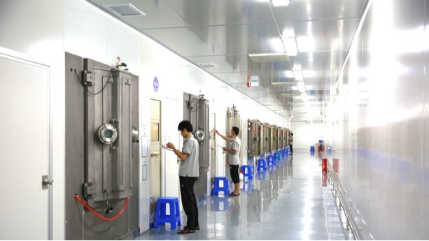 PVD香蕉视频色版