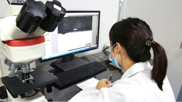 真空香蕉视频色版厂家